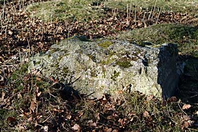 The Dogs grave stone
