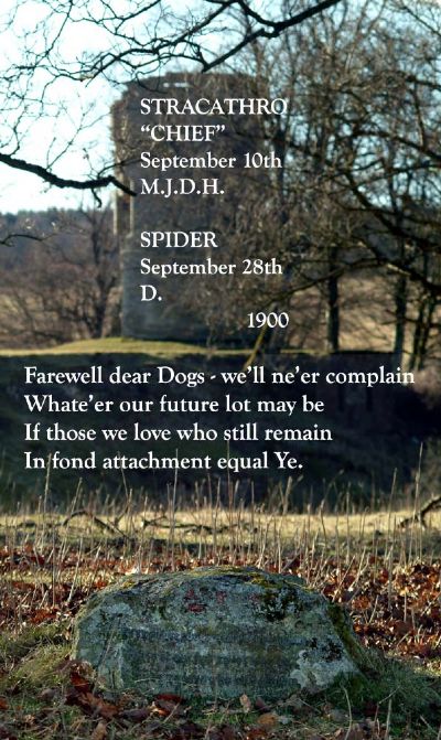 The words on the Dogs grave